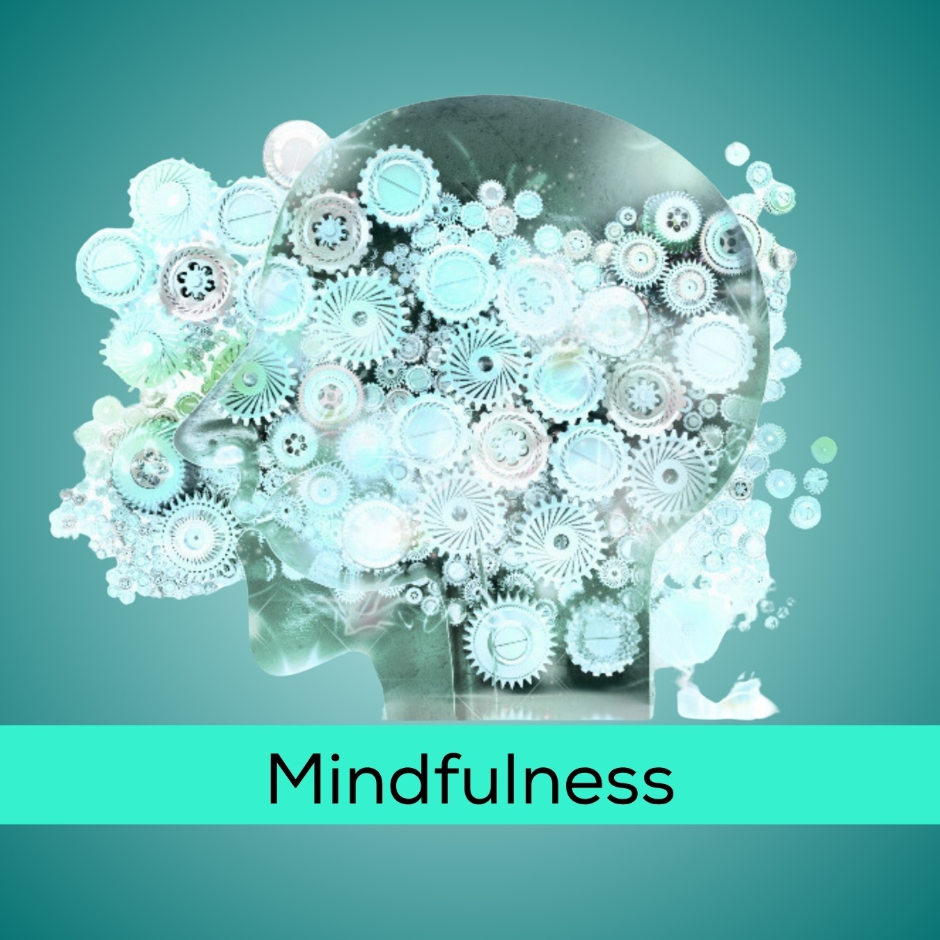 MINDFULNESS SUITE